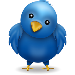 Twitter-bird-big