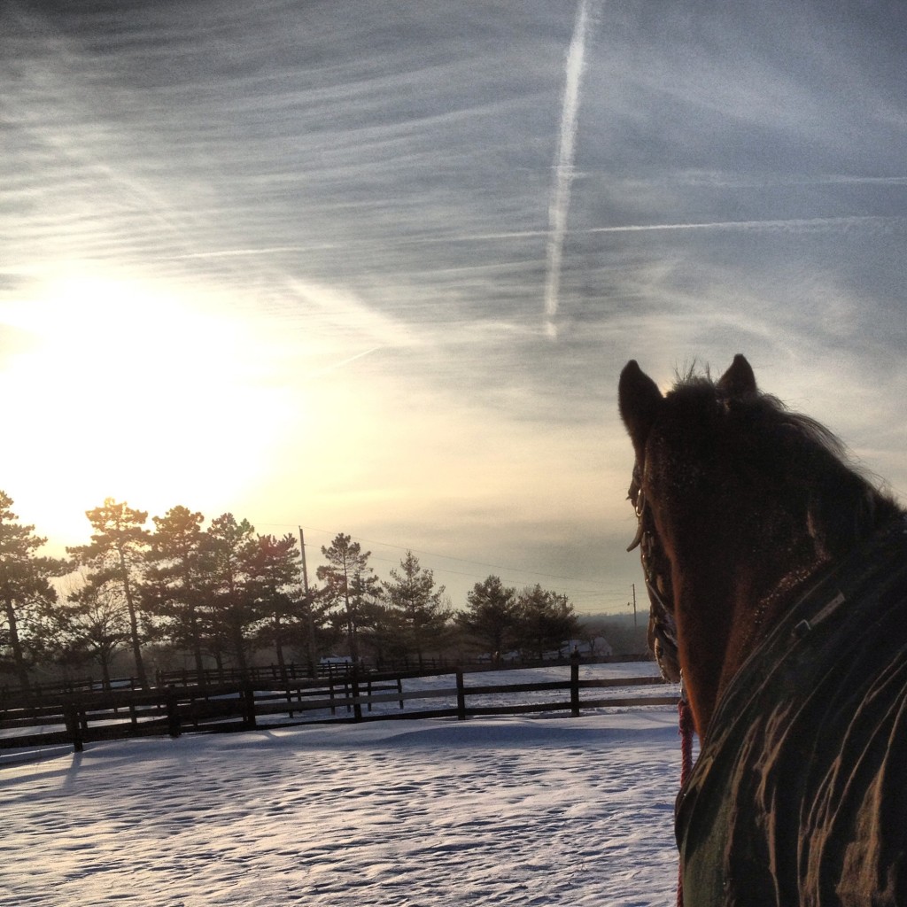 Snowy Sunset at Honey Tree Stables